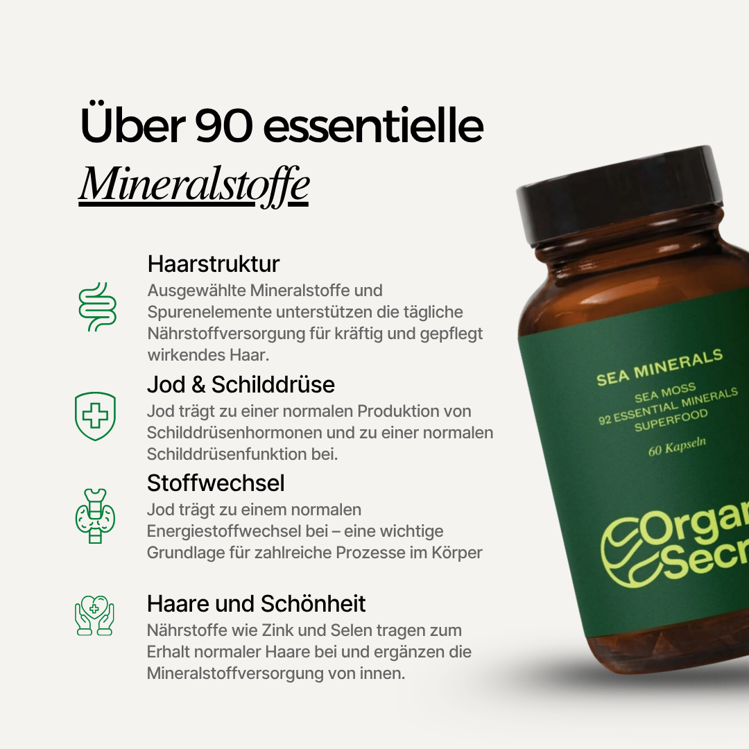 Sea Moss Kapseln Routine