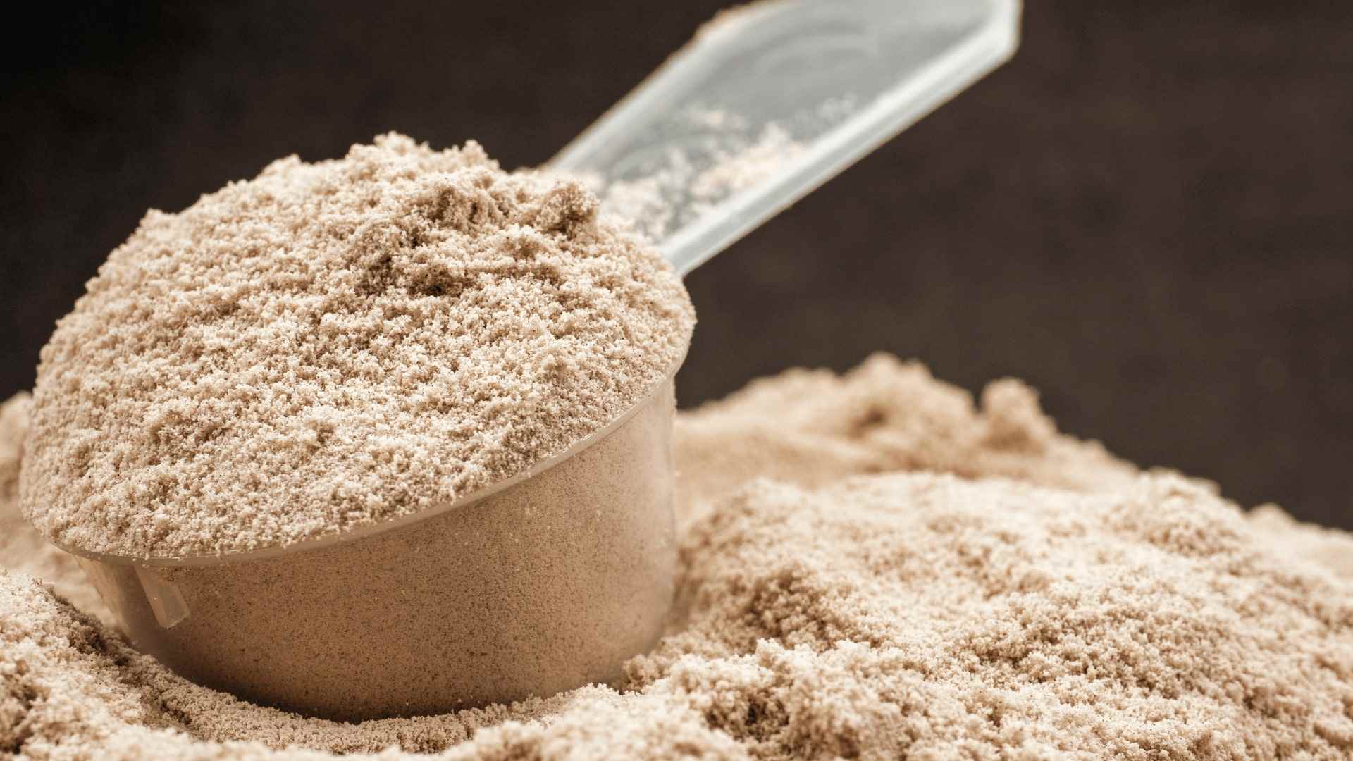 Sea Moss kaufen